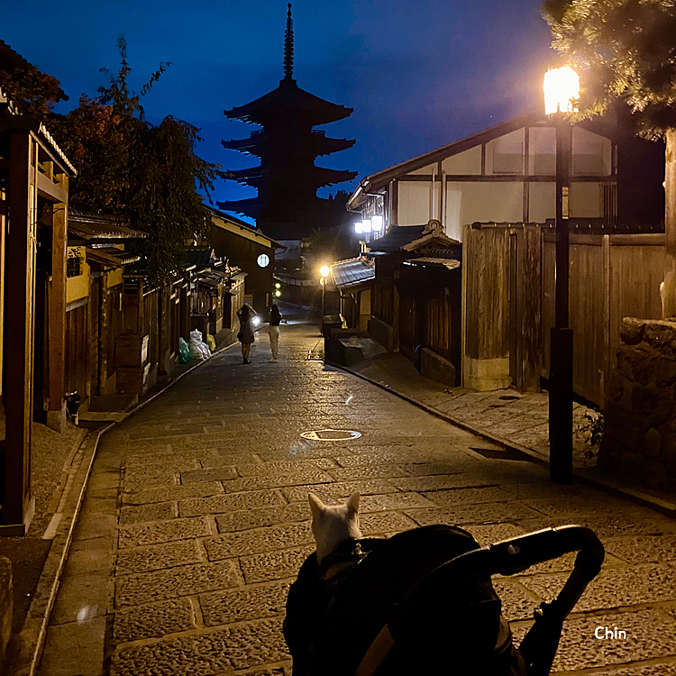 京都の八坂の塔。
ニャンカートでお散歩を。
『やっぱり京都はええにゃ〜』💕