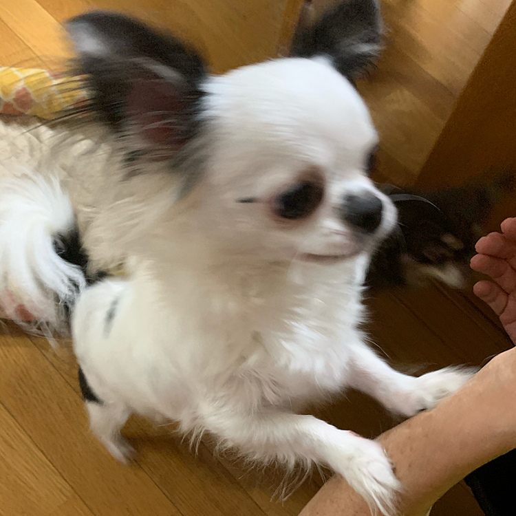 早い者勝ちだぞー