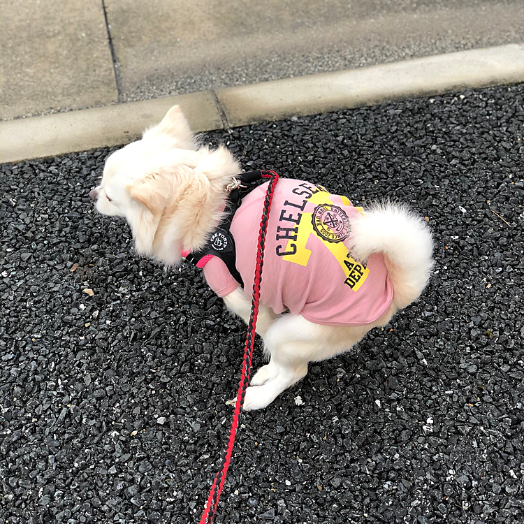 美しいフォームもバッチリ👌💩