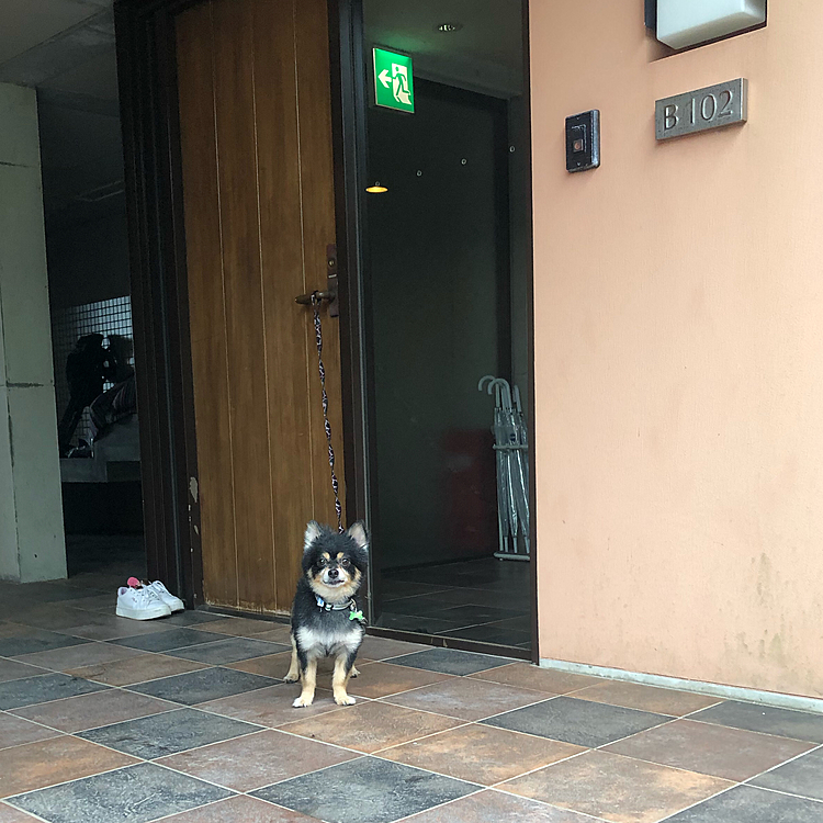 
ホテルの部屋の前でも1枚📸🌟

もう今日はクタクタのようです😊
いい思い出になりました🌟

