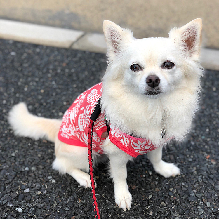おはようございます⛅️
明け方に雨降ってて、また地面が濡れてます💦