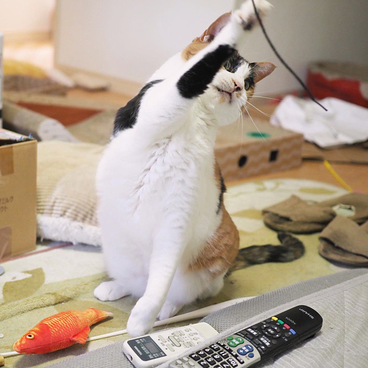 高速パンチ