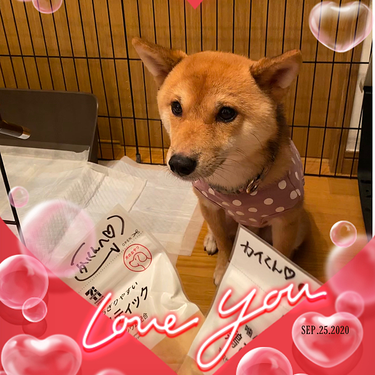 25日は3歳のお誕生日でした🎉😄
お兄ちゃんのお友達からお菓子をもらいました⸜( ˆ࿀ˆ )⸝♪
