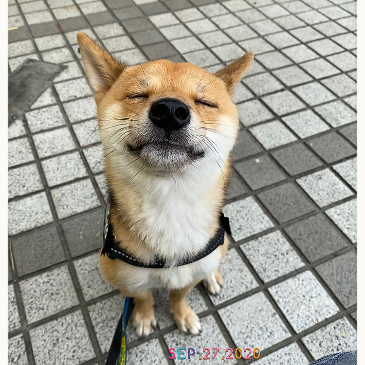 これまで大きなケガや病気もせず、スクスク育ってくれてありがとう💖
これからも家族みんなで元気に楽しく過ごしていこうね☺️💕