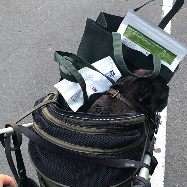 〝飼い主さん、ご飯で前が、見えないよ〟
やしち 心の俳句。