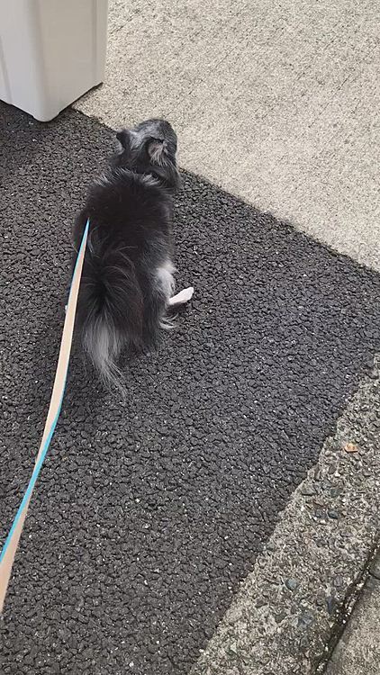 こんな格好でどこまで歩くのやら🤣
💩出ないと思うんだけど💦