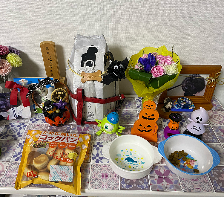今日は　ジャックお兄ちゃんの3回忌👻
大好きだったパンのおやつ🍠のおやつ
もう3年も経ってしまいました
いまだにジャックの動画は見れません😢
想い出多すぎ〜❣️