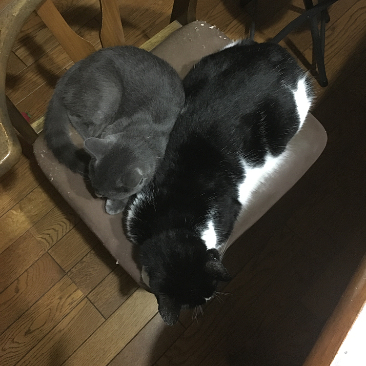 ハート型💕