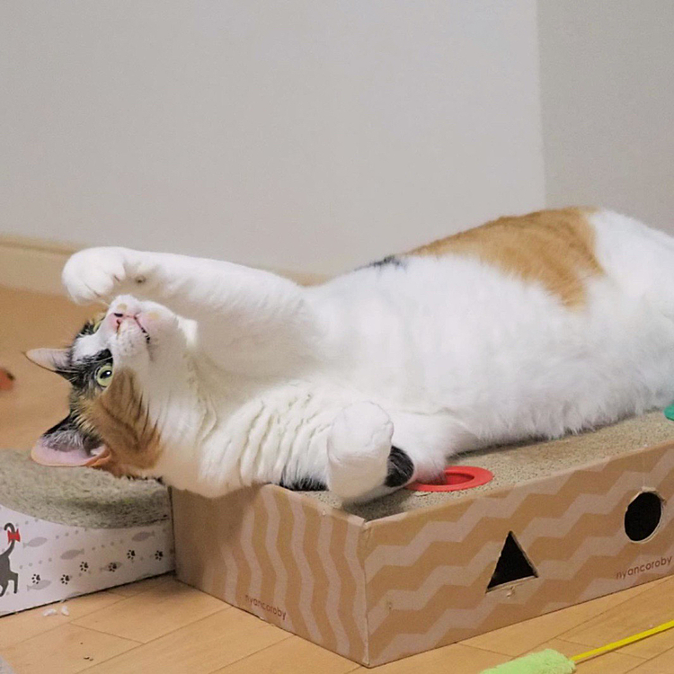 狙いを定めて