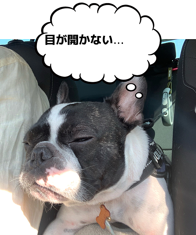 帰りのクルマはウトウトです😴