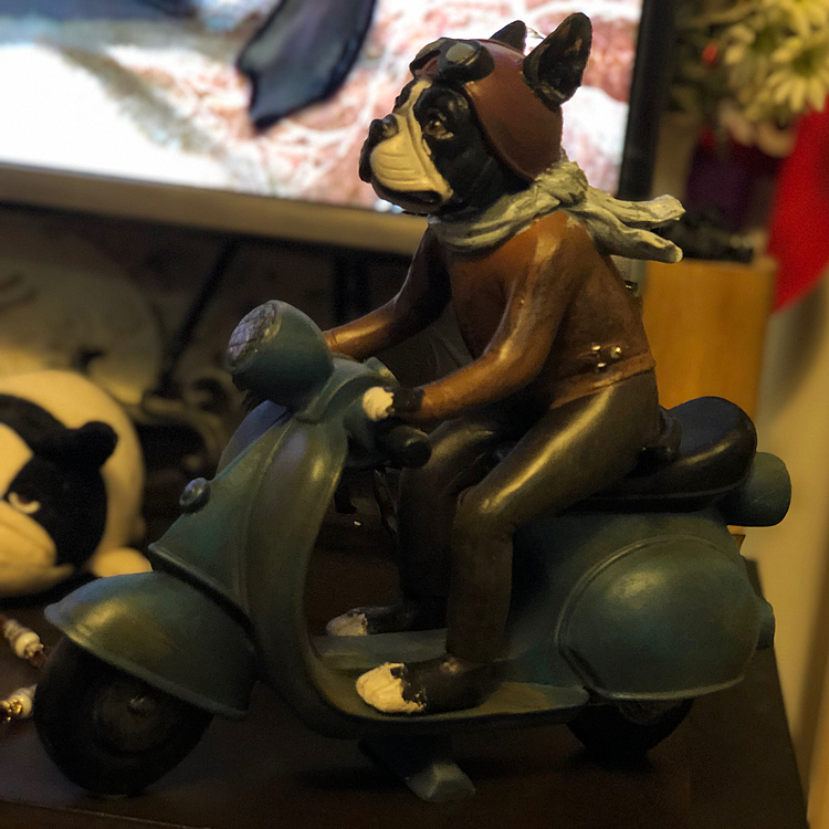 まろに似た惚けた顔のライダーがシュールです😆