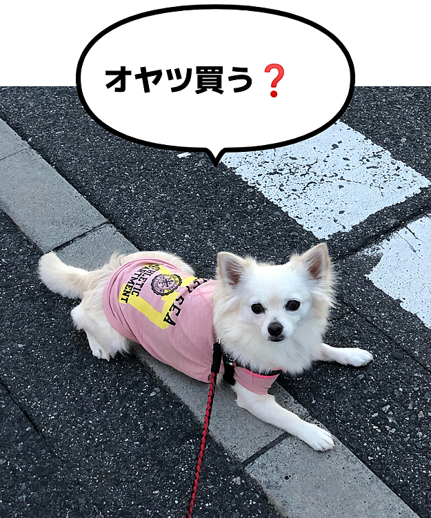 買いませんッ❣️
小雪のオヤツは売ってないからッ🤣