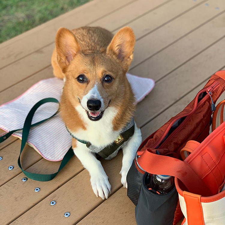出来たばかりのただ広いだけの公園ですが、所々にこんな縁台みたいのがあって、とても気持ちいいです👍