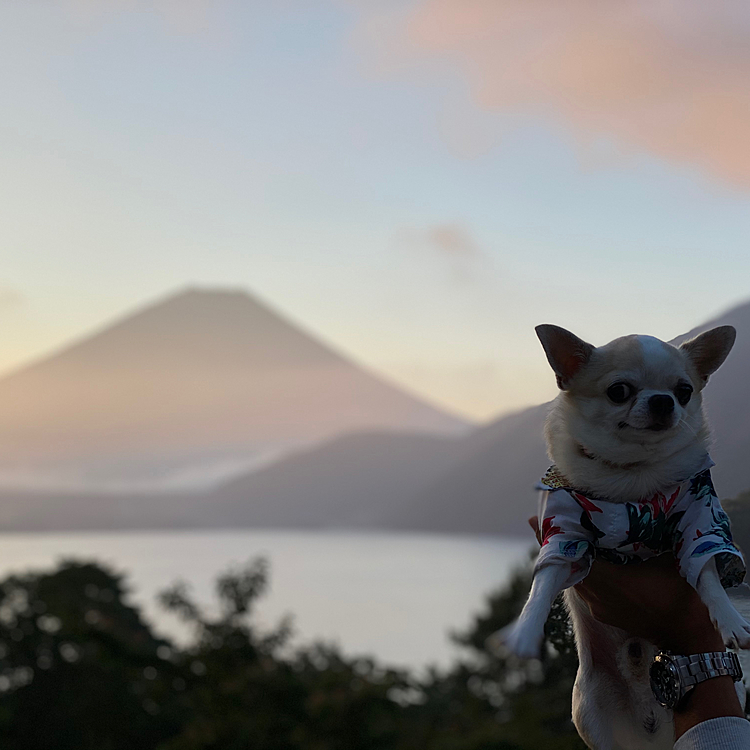富士山とツーショット🗻


この日も
今年5回目のキャンプでした❤️