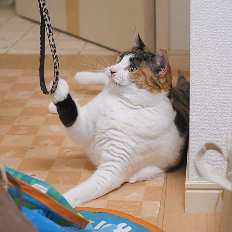 ハイタッチ
