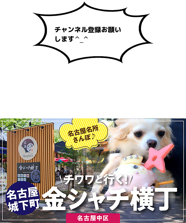 【犬とおでかけ】名古屋名所さんぽ♪城下町 金シャチ横丁 チワワとかわいい忍者アイス(名古屋市中区)
https://youtu.be/mdbme5x6D-U
