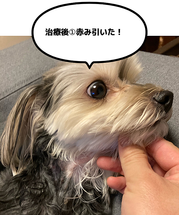 ブツブツがずいぶん目立たなくなりました。