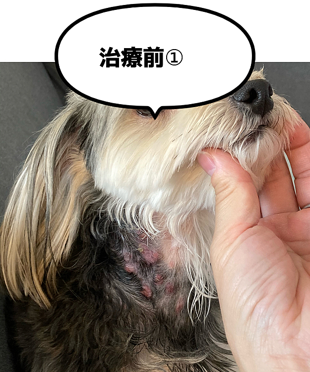 痛々しかったから、ずいぶん頑張りました。