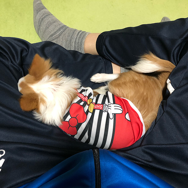 今朝の小春は、小雪の定位置を奪いました😂
温いのかな❓