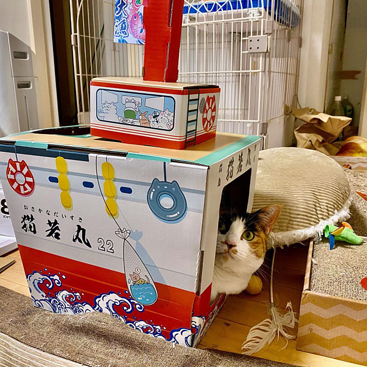 ルビー船長、出航しますか？