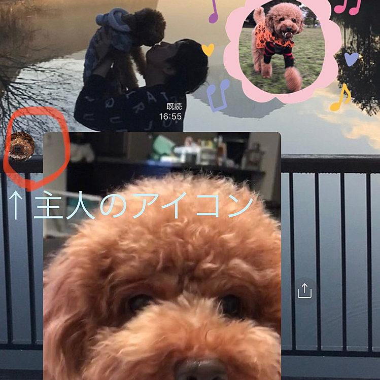 LINEの背景もハッピー💕
スタンプもハッピー💕
主人からはハッピーの動画が送られてます💕
主人はアイコンもハッピー💕

ハッピーまみれの飼い主でした😍

