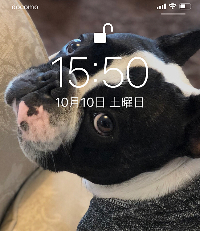 こんにちは☔️
私もロック画面がまろです😀
何度か変えましたが、今は振り向きまろです😁