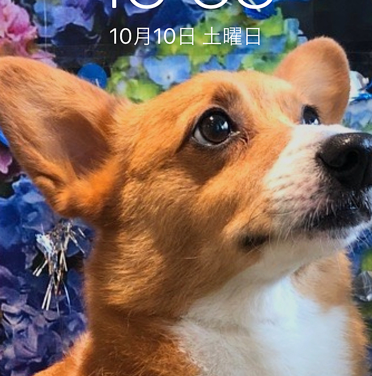 わたしの待受はこちらでーす💁‍♀️
2年前くらいかな…💓