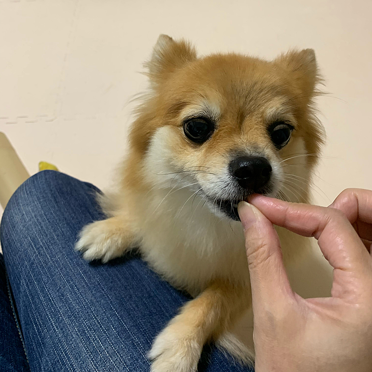 お気に入りのおやつです🥰