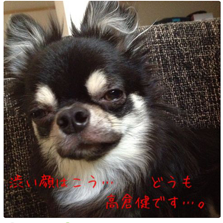 渋いお顔の北斗くん…
朝から決めてやったぜ♪
いゃ…ほくちゃん…眠いならさ…
寝ててよ…😰5時に起こされましたw