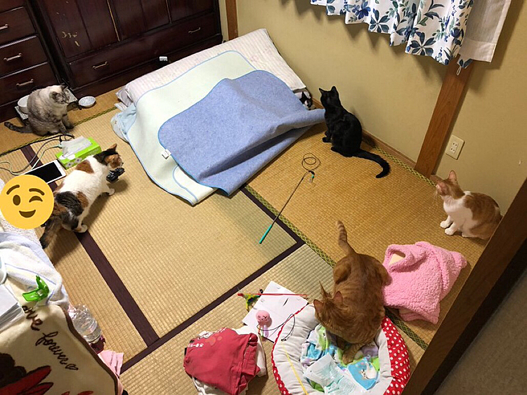 全員集合写真だけど分かりにくい😅
スタンプは妹の下着が映り込んでたので😅