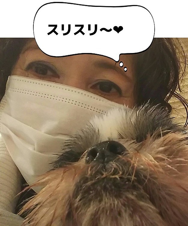 プリンくん、甘えたい時はスリスリします😃❤