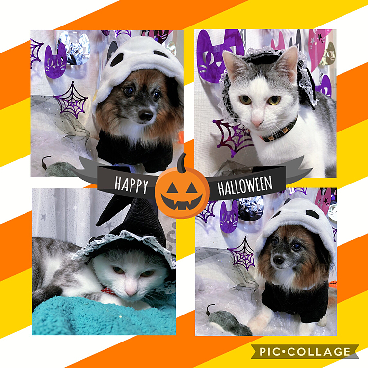 ハロウィン👻