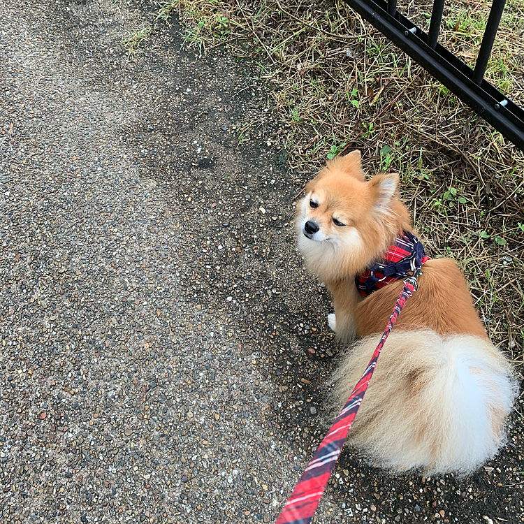 今朝は冷えます🥶
でも日中は昨日より7℃アップの予報です。