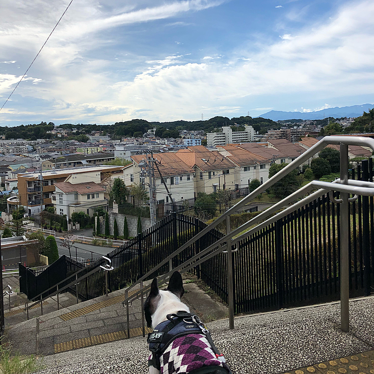 やっとお天気回復してきました😁
