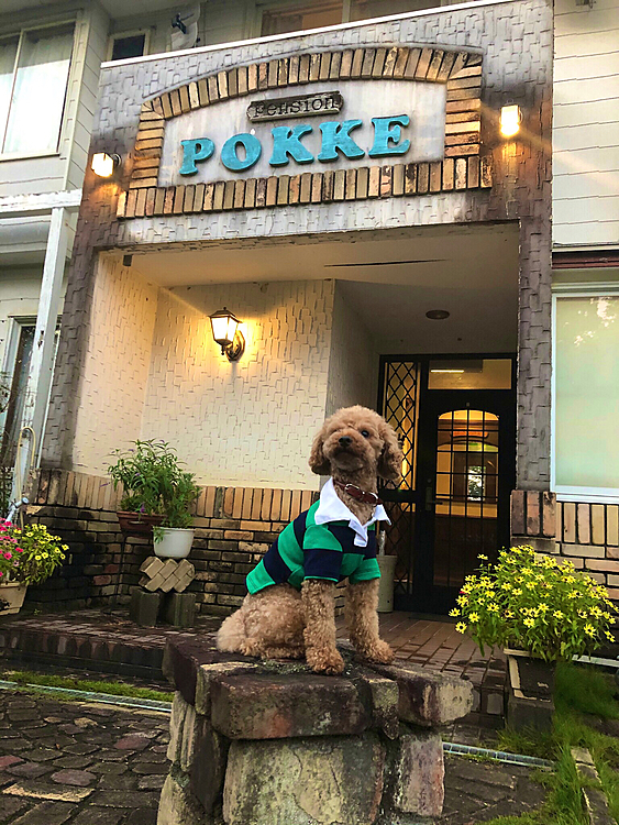 2020  10/17-10/18

🐾四国脱出　岡山小旅行
ーーーーーーー
GOTO安いね〜
ちょうど1年前に泊まったペンションが良かったので、今年もドライブ小旅行に行ってきました。

昔流行ったペンション村ですが、時代の流れかかなりの数が閉鎖されて、今は数軒残っています。

すごく家庭的で、今回ものんびりできました。

