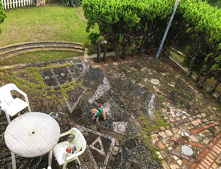 マルを庭において、2階の部屋からパシャリ

ワンワンうるさいので連れて上がりました。