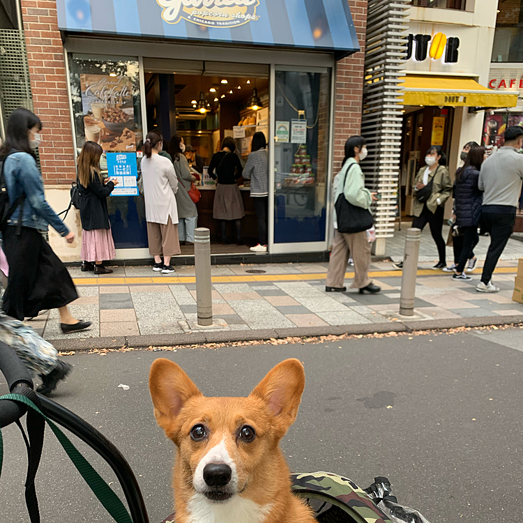 IKEAで冷凍ミートボールを購入し、garretでポップコーン購入しました🍿
そんなマーチさんの週末でした😁