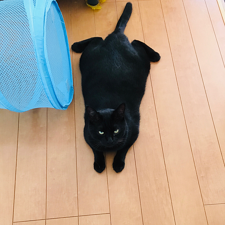 遊び疲れたスタイルが…笑