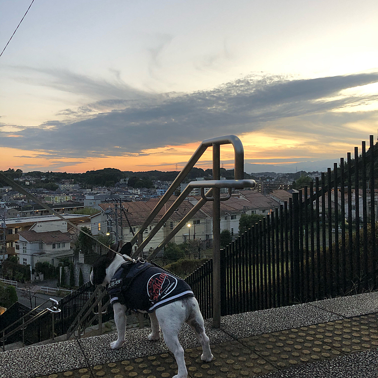 明日からはお天気下り坂の様ですが、夕焼けが出てました😀