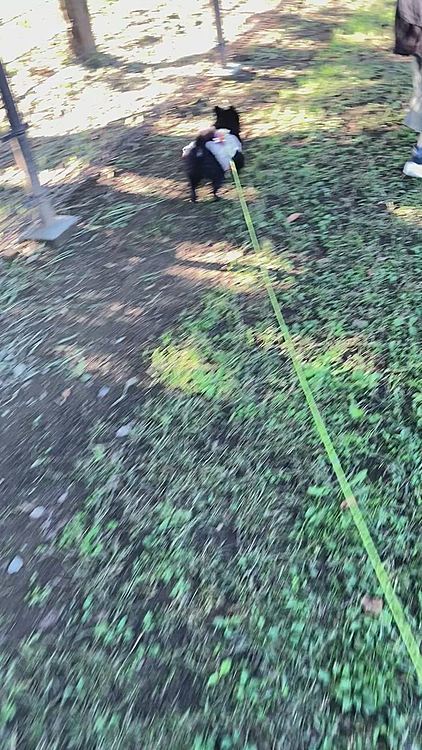 のどかな良い雰囲気(田舎)