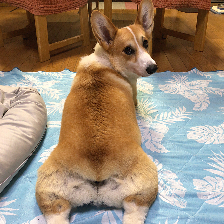 先程、暇そうにしてたまある🤣