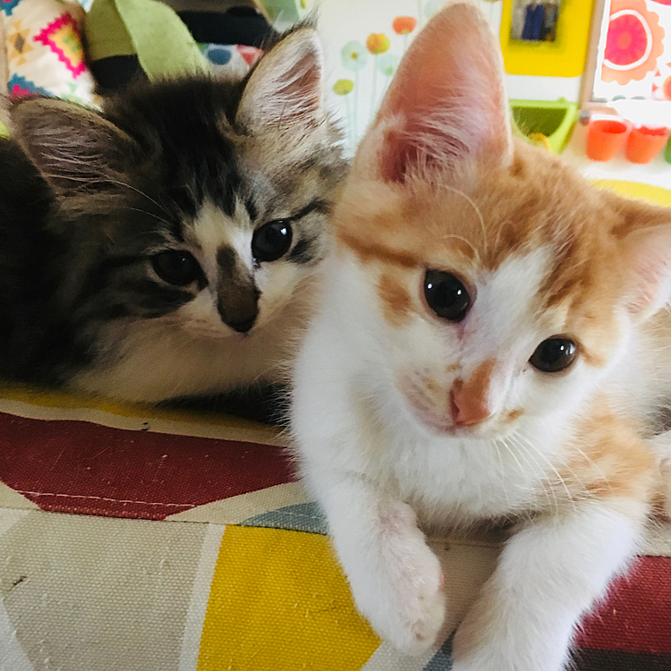 こんな時もあったな〜(=^ェ^=)
1年って早いなぁ