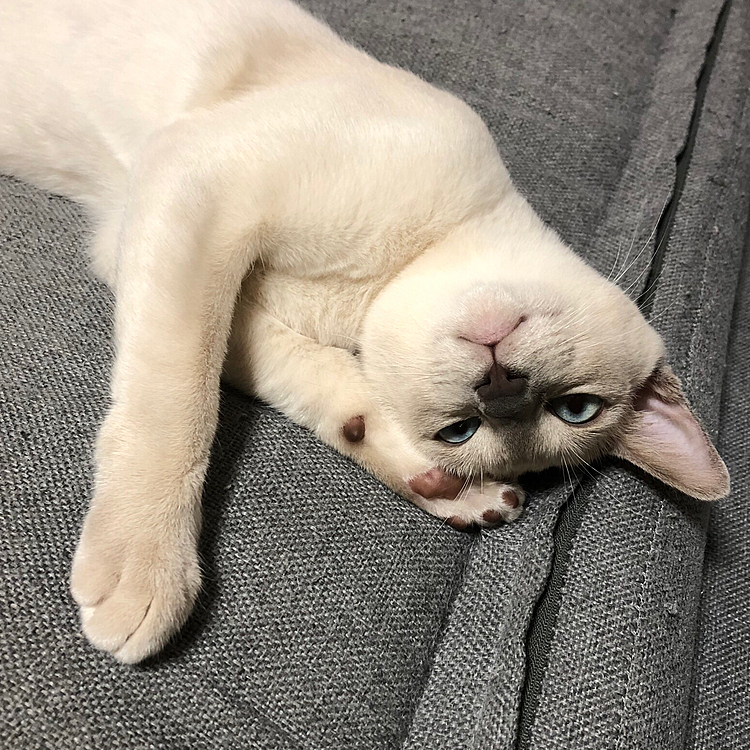 雨降ってる☔️ぴえん🥺