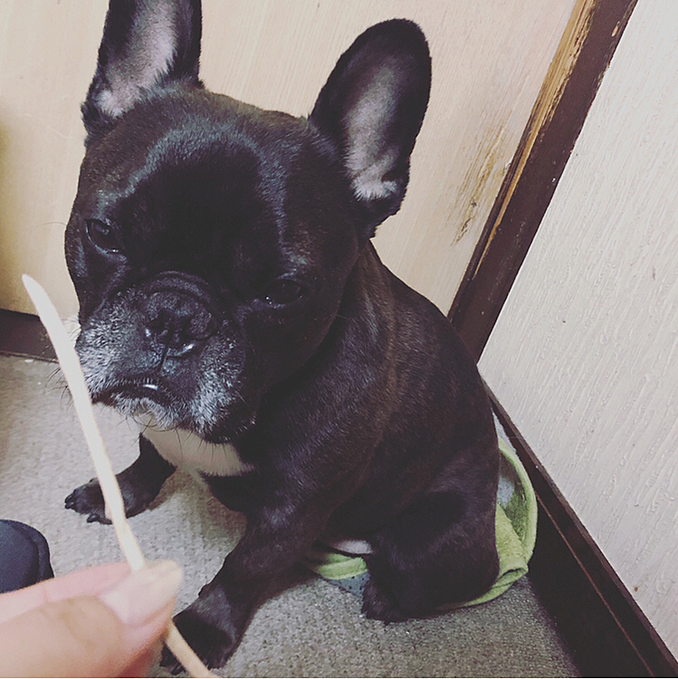 破壊魔降臨。
説教にごめんね感を演出。
その後はケロっとしてた。
おいっ！🤣