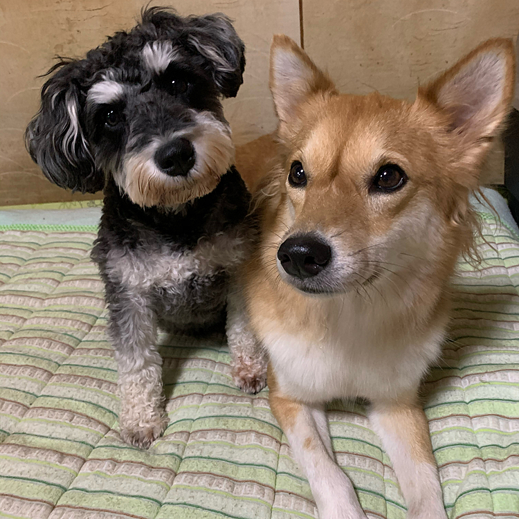 仲良しツーショット😆❣️