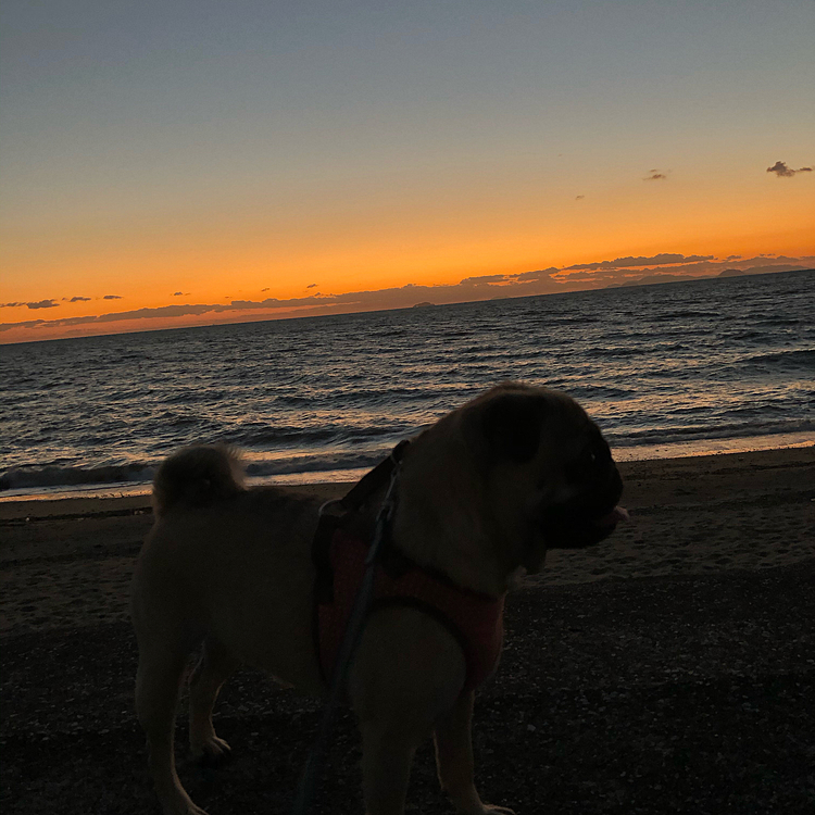 夕日がキレイでした🌆