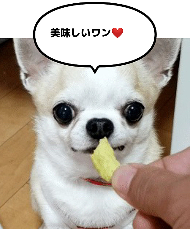 たまらんち💃❤️