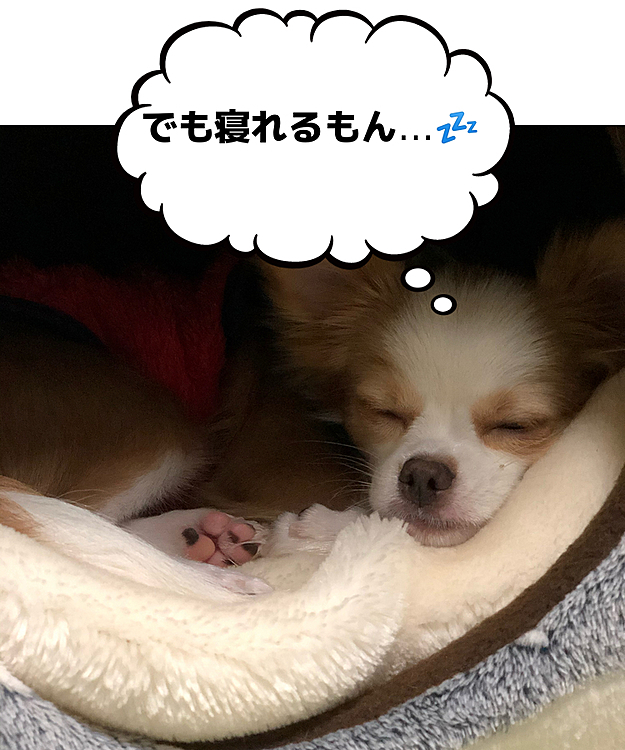 あ‼️
また寝たッ🤣