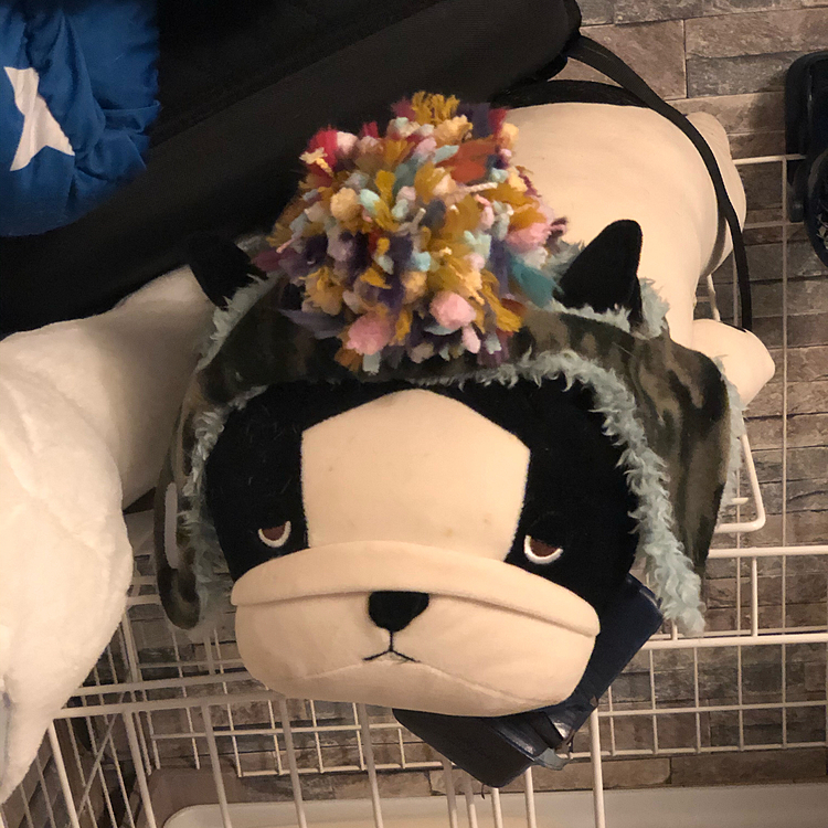 仕方ないのでまろの化身に被ってもらいます😆