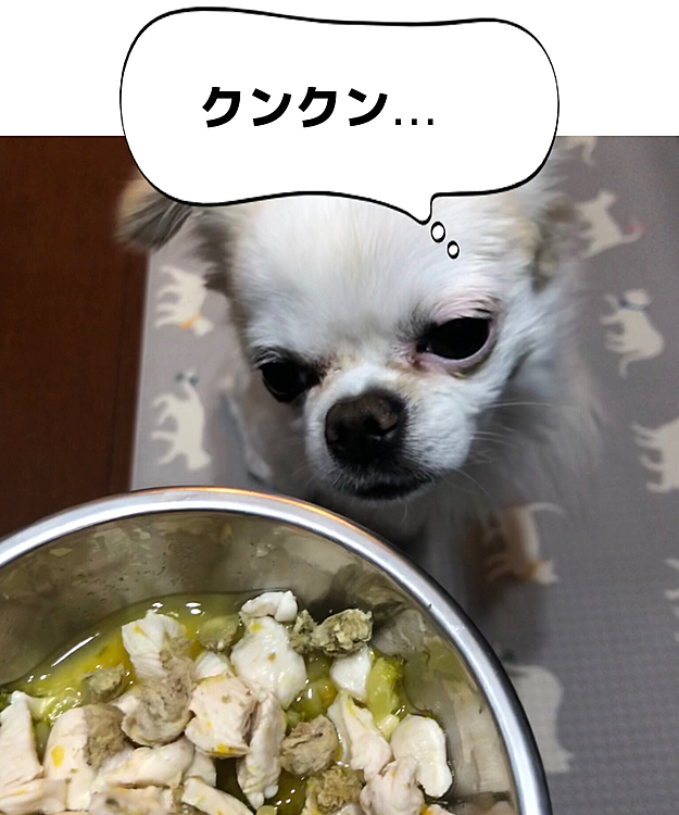 ポコちゃんすっかり朝はデビフ、夜はササミに野菜で定着です🍚

病院で相談した際にカボチャとさつまいもがいいとの事だったので、お野菜はカボチャとさつまいも。あと、大丈夫と言われたブロッコリーと麦ごはんが混ざってます🍚あとグリーントライプと😊

あと、お肉も色々あげるより同じものがいいと言われたのでずっとササミです🐓
YouTubeで色々変えた方がアレルギーにならないと言ってた事を話したらむしろ逆と言われました。

最近はまとめて野菜茹でて小分けにして冷凍し、食べる分をササミにトッピングして食べさせてます😊